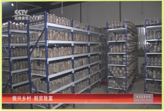 &#107;&#97;&#105;&#121;&#117;&#110;&#20307;&#32946;&#23448;&#26041;&#32593;&#31449;&#20840;&#31449;&#20837;&#21475;&#40;&#107;&#97;&#105;&#121;&#117;&#110;&#41;&#40;&#20013;&#22269;&#41;&#23448;&#32593;&#20837;&#21475;&#30331;&#24405;