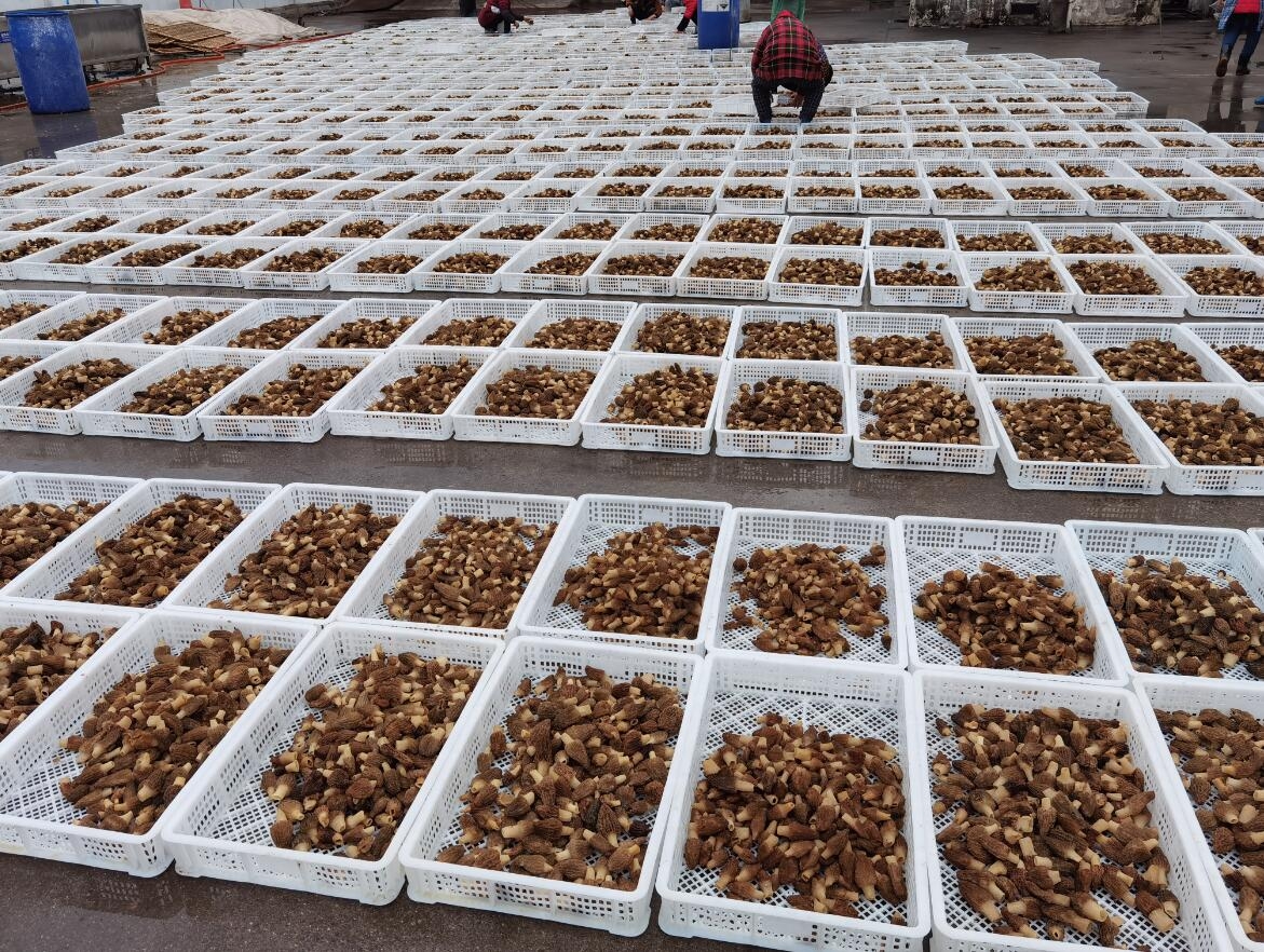 &#107;&#97;&#105;&#121;&#117;&#110;&#20307;&#32946;&#23448;&#26041;&#32593;&#31449;&#20840;&#31449;&#20837;&#21475;&#40;&#107;&#97;&#105;&#121;&#117;&#110;&#41;&#40;&#20013;&#22269;&#41;&#23448;&#32593;&#20837;&#21475;&#30331;&#24405;