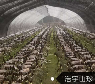 &#107;&#97;&#105;&#121;&#117;&#110;&#20307;&#32946;&#23448;&#26041;&#32593;&#31449;&#20840;&#31449;&#20837;&#21475;&#40;&#107;&#97;&#105;&#121;&#117;&#110;&#41;&#40;&#20013;&#22269;&#41;&#23448;&#32593;&#20837;&#21475;&#30331;&#24405;