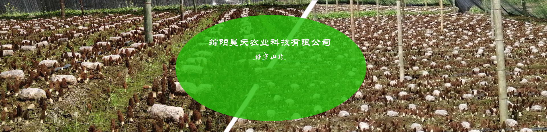&#107;&#97;&#105;&#121;&#117;&#110;&#20307;&#32946;&#23448;&#26041;&#32593;&#31449;&#20840;&#31449;&#20837;&#21475;&#40;&#107;&#97;&#105;&#121;&#117;&#110;&#41;&#40;&#20013;&#22269;&#41;&#23448;&#32593;&#20837;&#21475;&#30331;&#24405;
