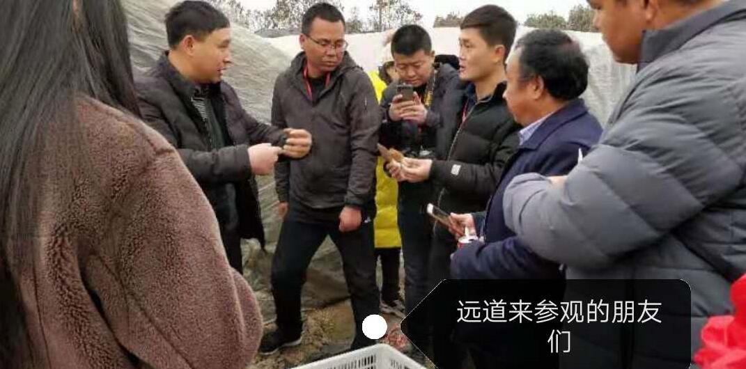 &#107;&#97;&#105;&#121;&#117;&#110;&#20307;&#32946;&#23448;&#26041;&#32593;&#31449;&#20840;&#31449;&#20837;&#21475;&#40;&#107;&#97;&#105;&#121;&#117;&#110;&#41;&#40;&#20013;&#22269;&#41;&#23448;&#32593;&#20837;&#21475;&#30331;&#24405;